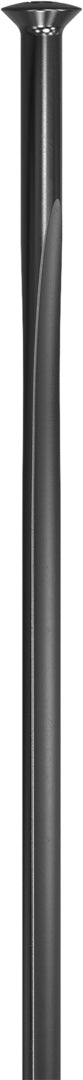 Radios DT Swiss Aerolite SP (straightpull) negros, lote de 20