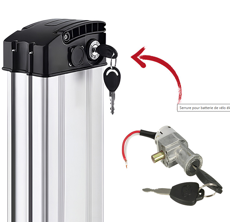 Zylinder Batterie E-fati