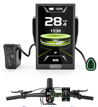 LCD-Display DPC 010 CAN