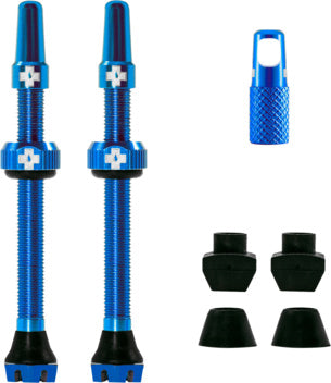 V2 Tubeless Valve Kit blue