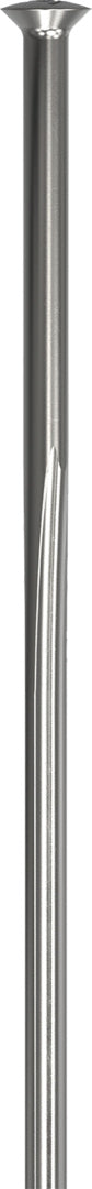 DT Swiss rayons Revolite SP (straightpull) argent – lot de 20
