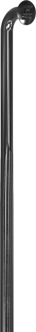 DT Swiss rayons Complite noir – lot de 20