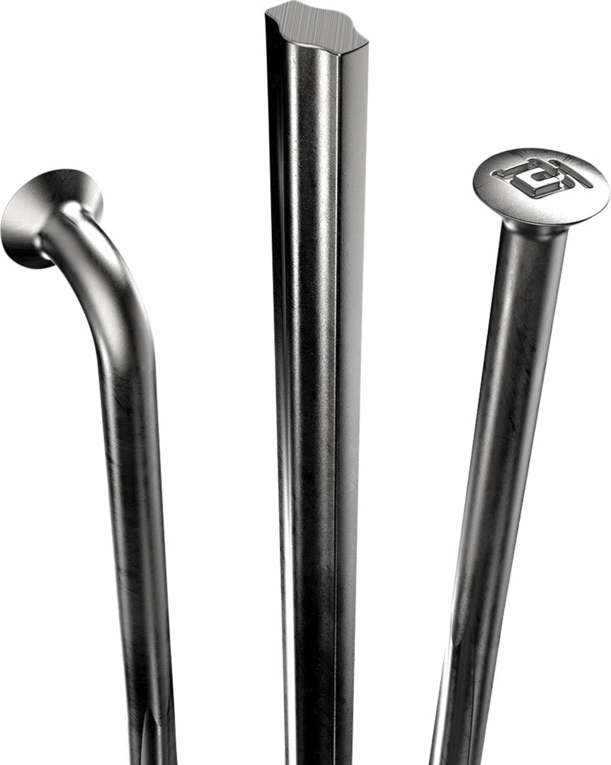 DT Swiss rayons Complite argent – lot de 20