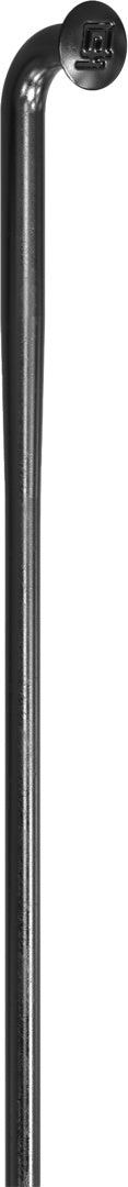 DT Swiss rayons Competition Race noir – lot de 20