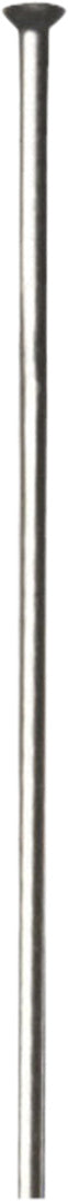 DT Swiss Champion 2.0 SP (Straightpull) Speiche, silber