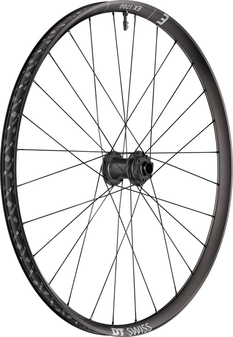EX 1700 CLASSIC roue 29" IS 30 110/20