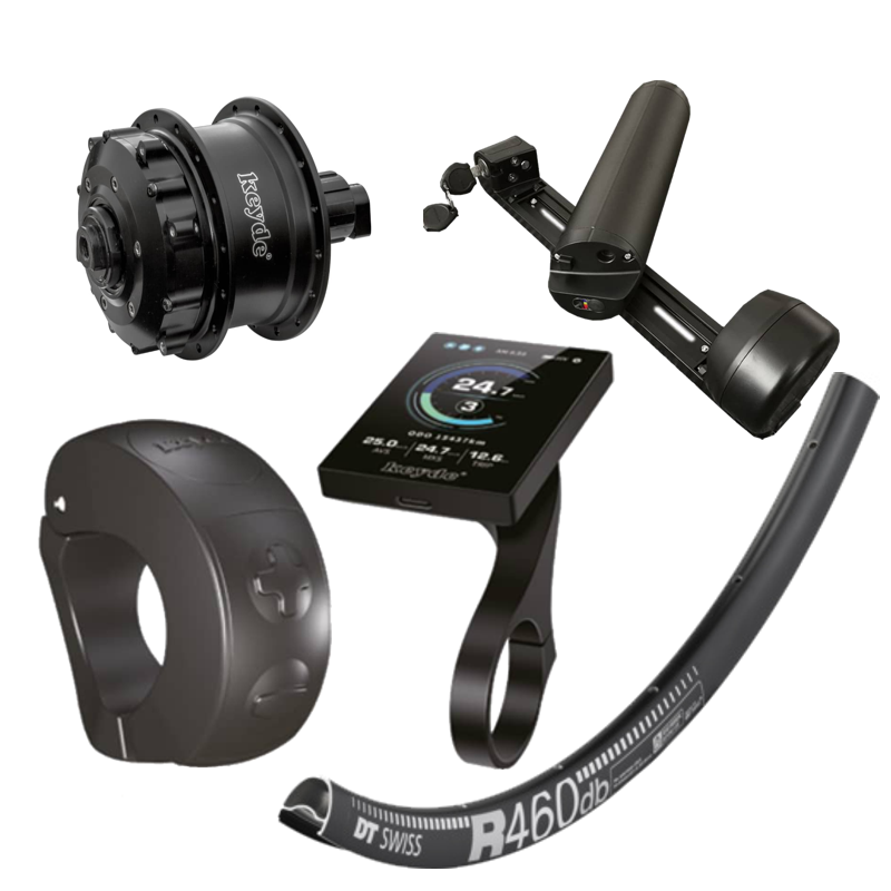 250-W-Motor am Hinterrad