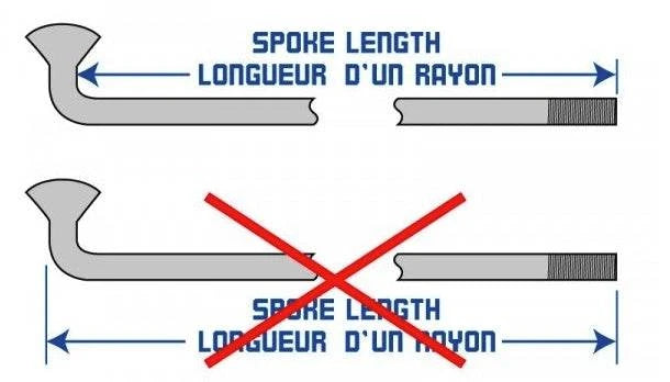Rayon DT Swiss sur mesure