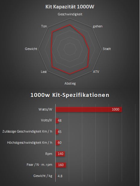 1000w - Kompletter Elektrosatz