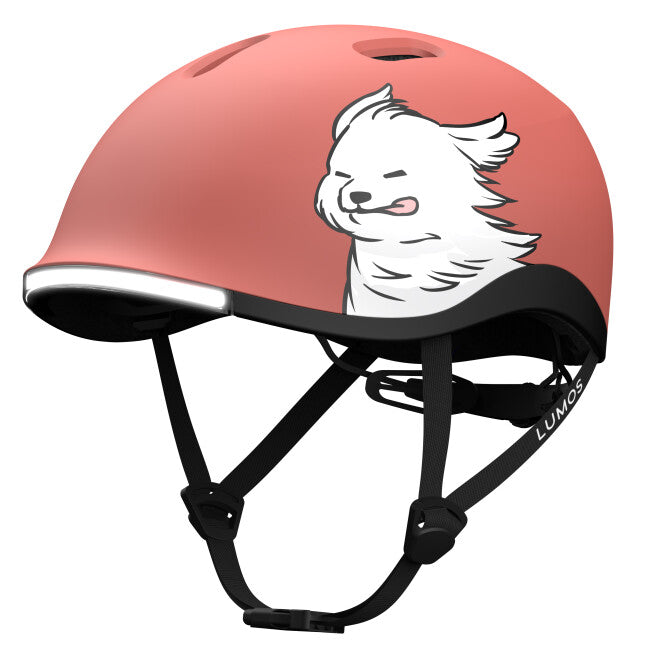 LUMOS NYXEL MIPS helmet